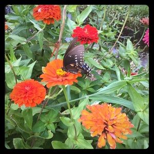 Meet your Posher, Offerupvb